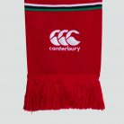 British & Irish Lions Supporters Scarf